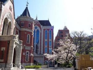 桜・旧図書館・東館.JPG