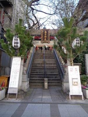 230106三田春日神社 2022門松 (2).jpg