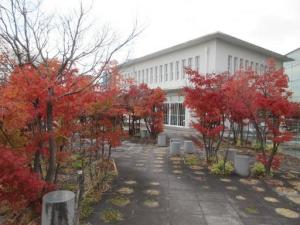 251127南館テラス 紅葉 北・ノグチルーム (3).jpg