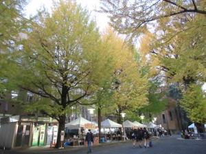 251120・1120三田祭準備・大学院棟を背に塾監方面 (2).jpg