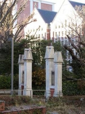 260129東別館から幻の門 (1).jpg