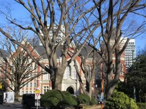 260116木ごしの旧図書館と空 (1).jpg