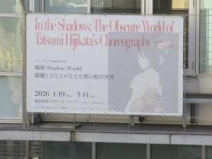 260218アート・センター「幽暗 Shadow World～」南別館 (3).jpg