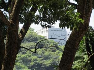 260916-矢上から日吉校舎方面 (3)b.jpg