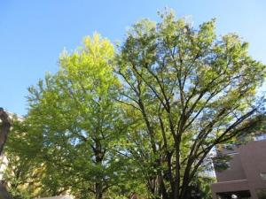 261029IMG_5056b.jpg
